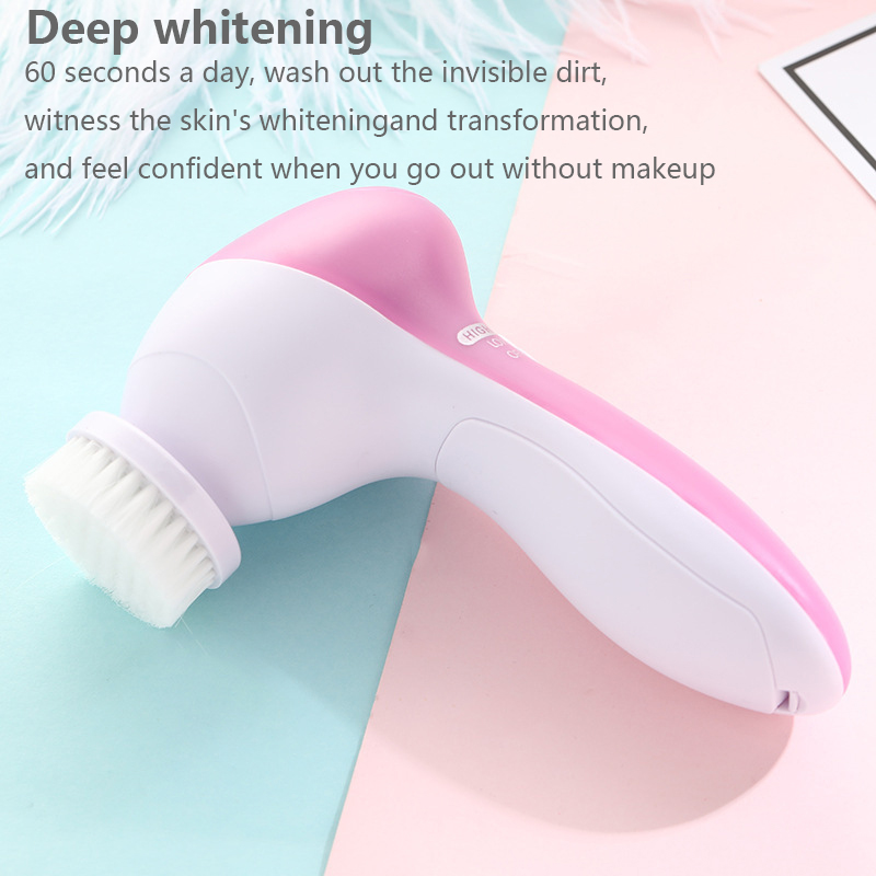 5 IN 1 Gezichtsreinigingsborst - Dry Brush Body recensie en prijs